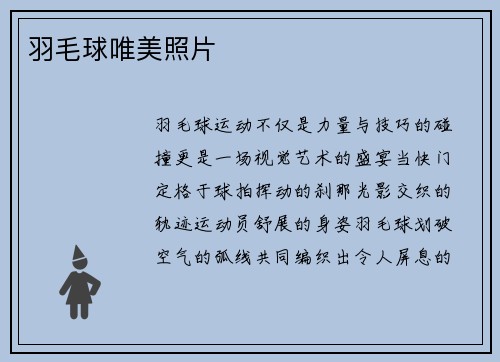 羽毛球唯美照片